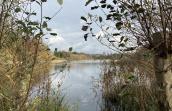 Vue sur l'étang du Gris Moulin à Nysdam