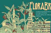 FloraBru - Le grand resencement des plantes sauvages à Bruxelles