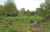 Pelouse calcaire du Triffoy
