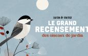 Le Grand Recensement des oiseaux de jardin 2026