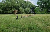 enfants en file indienne dans une prairie, marchant vers l'aventure !