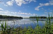 vue des marais d'Harchies : végétation de type roseaux à l'avant plan, grande étendue d'eau au second plan. Au fond, deux ilots arboré. ciel bleu parsemé de quelques nuages blancs.