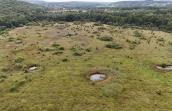 vue aérienne d'une partie (molinion pâturé) de la réserve naturelle natagora d'Al Florée à Merlemont