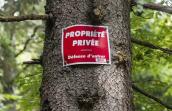 Forêt privée