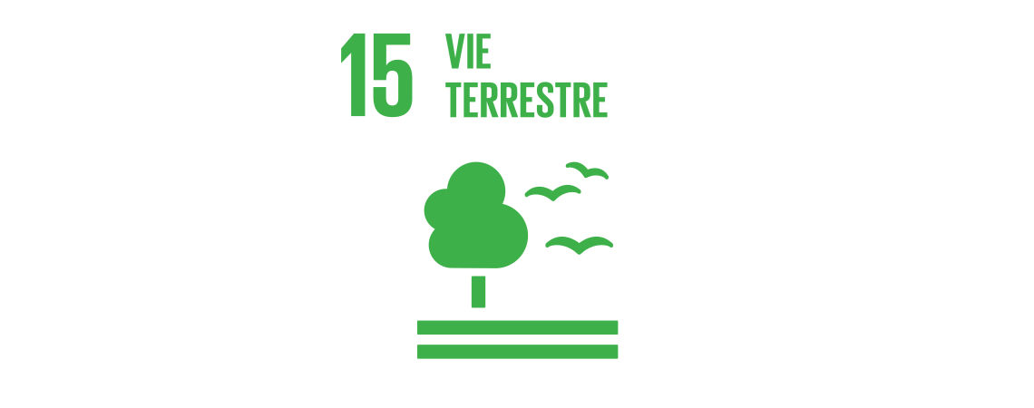 Logo des objectifs de développement durable : vie terrestre