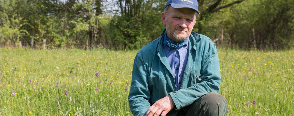 Agriculteur dans un champ