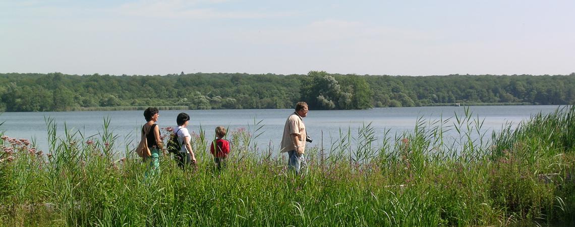 L'Aquascope Virelles engage un(e) animateur/trice nature et environnement