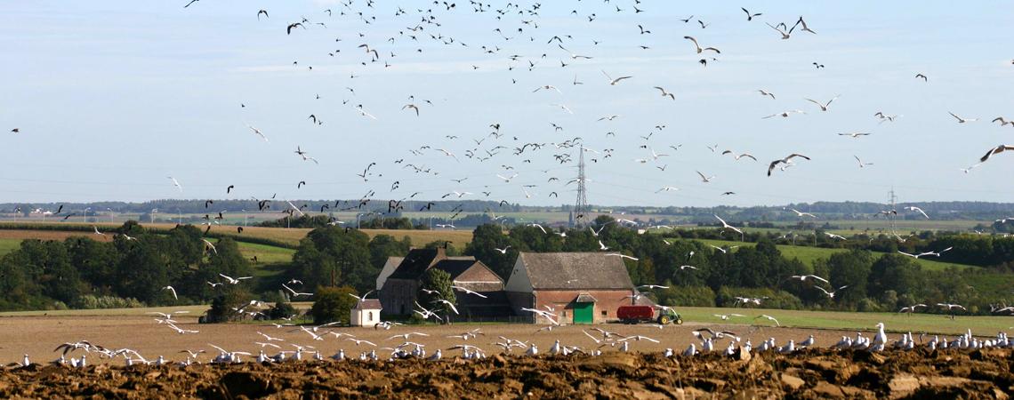 Natagora engage un(e) responsable politique agricole