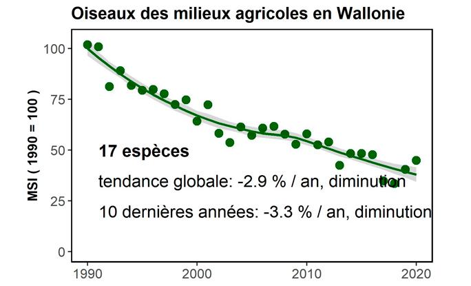 déclin oiseaux