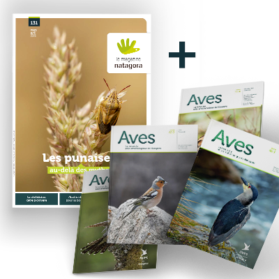Magazine + aves