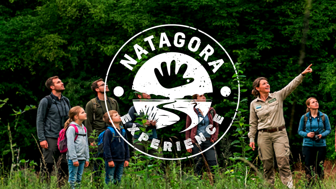 natagora experience