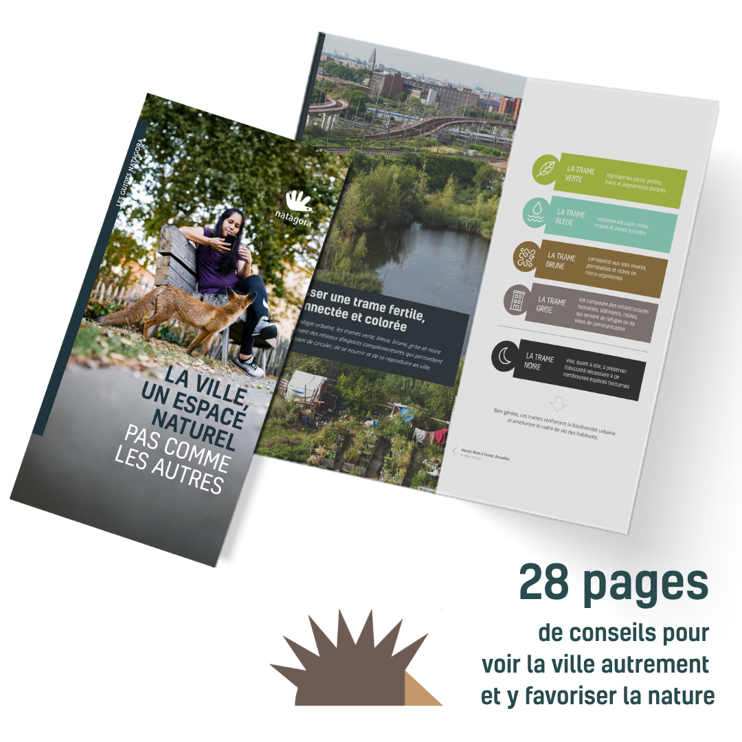 Guide natagora : la ville un espace naturel pas comme les autres
