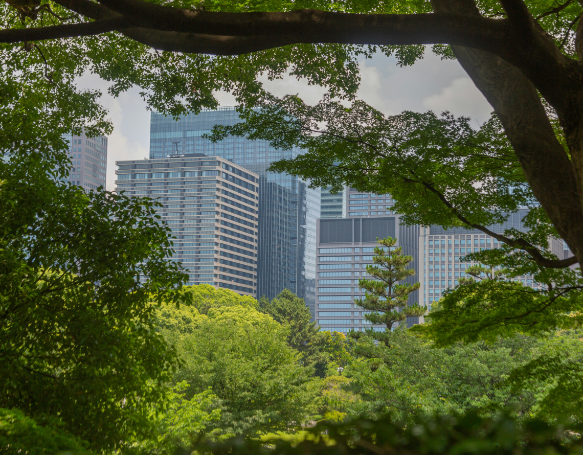 parc ville
