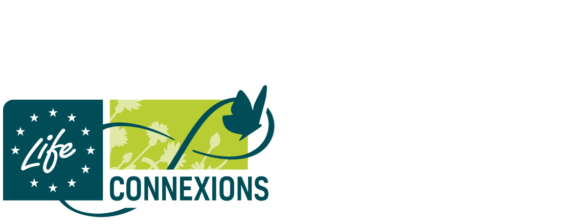 logo life connexions