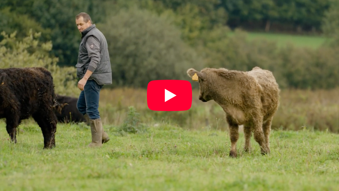 teaser video 4