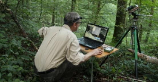 Homme dans la forêt occupé à recenser les Barbastelles