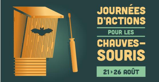 Affiche de la nuit de la chauve-souris