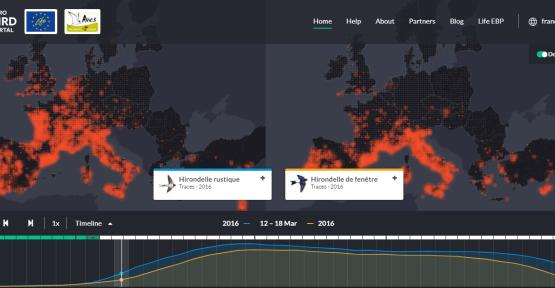 Preview du site EuroBirdPortal