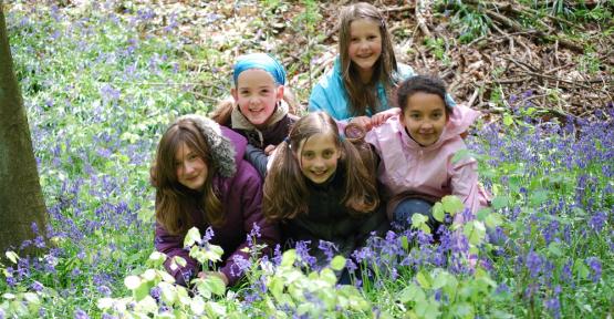 Jeunes filles en groupe dans la forêt