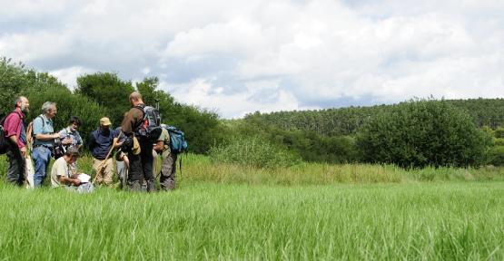 Naturalistes dans une prairie