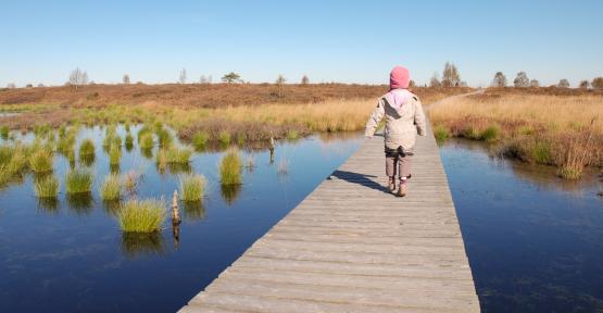 Enfant dans les Hautes Fagnes