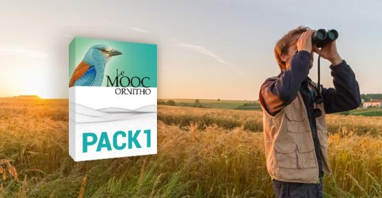 Lancement du Mooc Ornitho : une formation à l'ornithologie en ligne