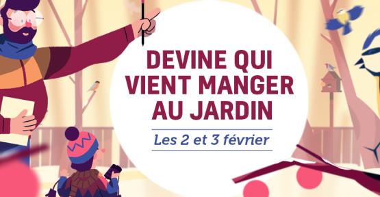 Mais où se cachent les oiseaux des jardins ?