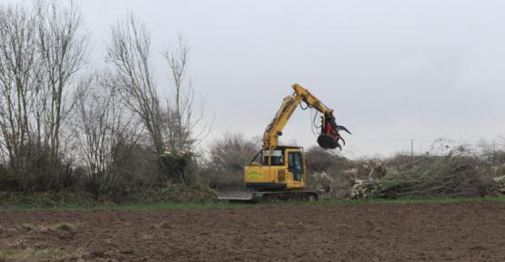 Disparition du bocage, stop à l’impunité !