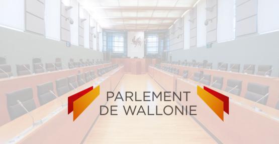 Élections régionales wallonnes : interpellez les partis !