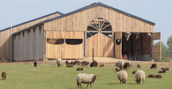 Une bergerie pour les réserves naturelles de Gaume