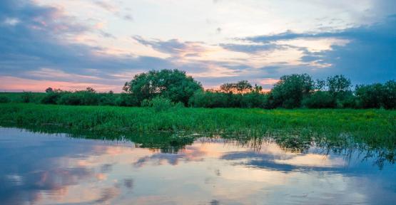 Voyages STARLING et Natagora vous emmènent en Pologne