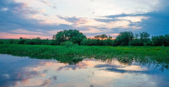 Voyages STARLING et Natagora vous emmènent en Pologne