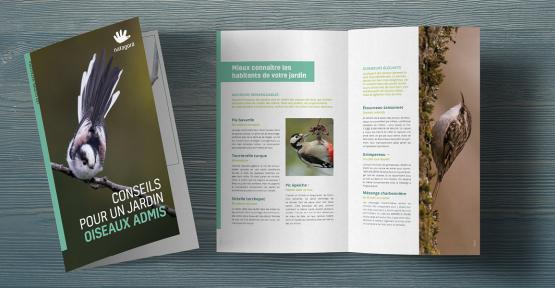 Une brochure gratuite pour un jardin oiseaux admis toute l'année