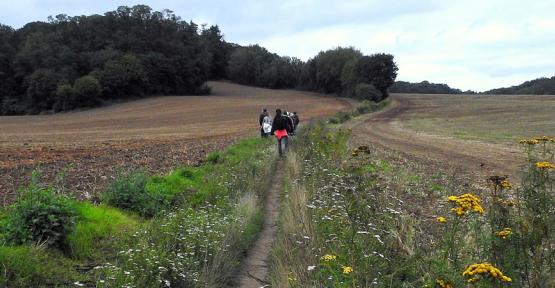 Ce 13 octobre, dites NON au contournement nord de Wavre !