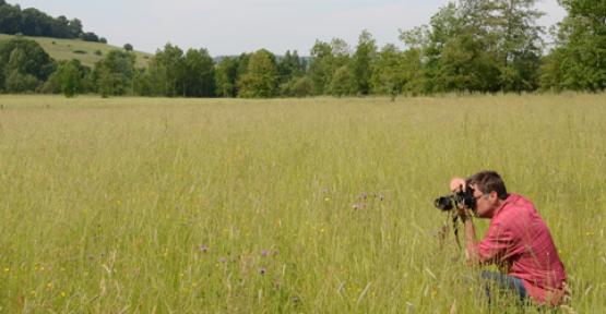 Photographe dans une prairie