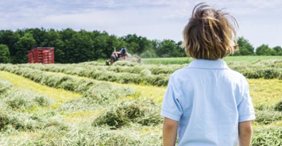 Jeune garçon devant un champ