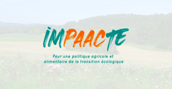 imPAACte