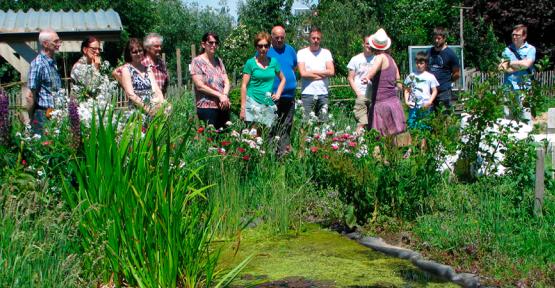 Jardin naturel avec des volontaires 