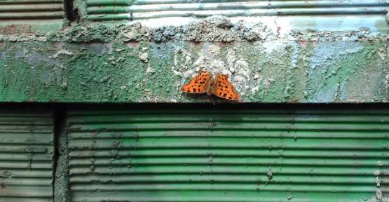 Robert-le-diable sur un mur peint