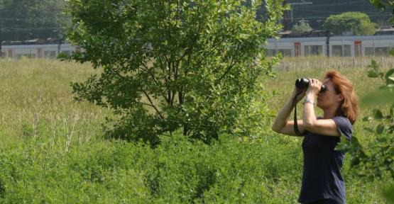 Observatrice avec des jumelles, dans une prairie, avec le train en fond de toile