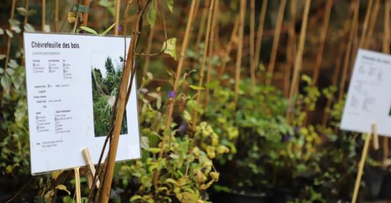 34e Bourse aux Plantes Sauvages de Natagora, à Tour & Taxis