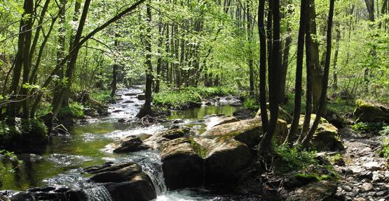 cascade vallée de la Hulle