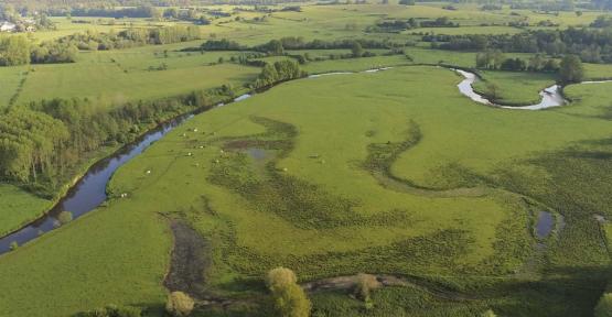 Méandres et prairies de la Semois