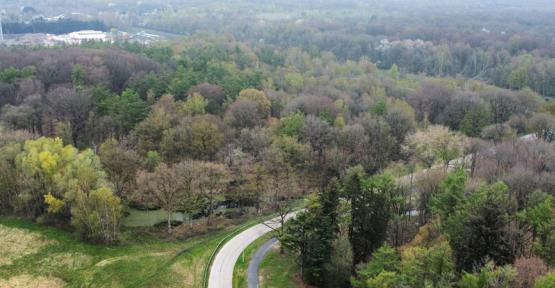 Vue aérienne du bois d'Imbrechies