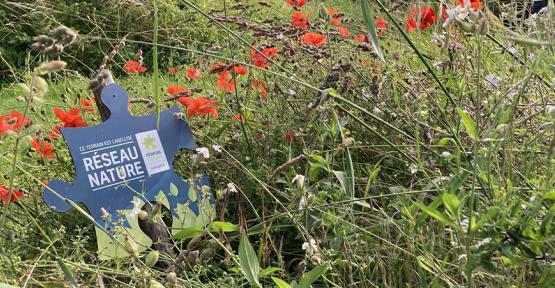 Le Réseau Nature, ce sont 1.000 hectares de maillage écologique formé par les jardins et terrains de volontaires engagés pour la biodiversité