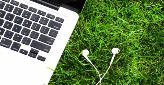 Ordinateur dans l'herbe