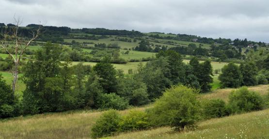 Réserve naturelle de Froidlieu