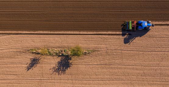 Natagora dénonce : détricoter les mesures environnementales est un mirage politique qui n’aide pas les agriculteurs