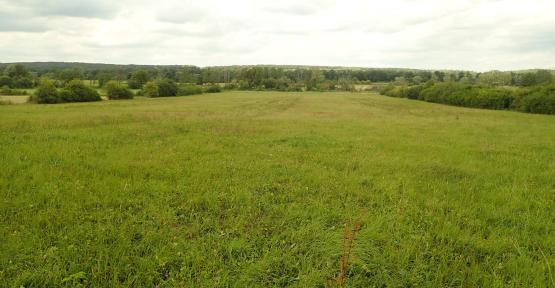 Réserve de La Prée (Parc National de l'Entre Sambre et Meuse)