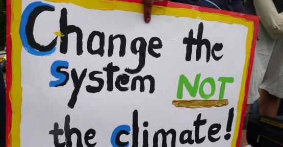 Panneau manifestation - Change the system, not the climate